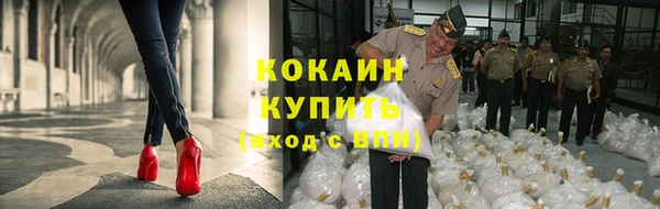 трава Беломорск