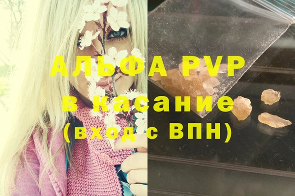 ГАЛЛЮЦИНОГЕННЫЕ ГРИБЫ Белокуриха