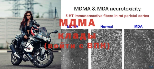 трава Беломорск