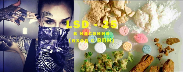 ГАЛЛЮЦИНОГЕННЫЕ ГРИБЫ Белокуриха