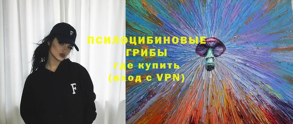 ГАЛЛЮЦИНОГЕННЫЕ ГРИБЫ Белокуриха