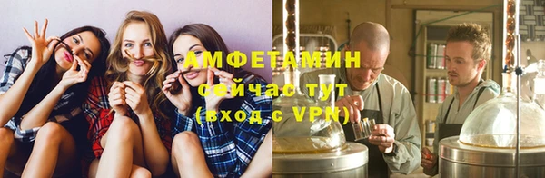 ГАЛЛЮЦИНОГЕННЫЕ ГРИБЫ Белокуриха